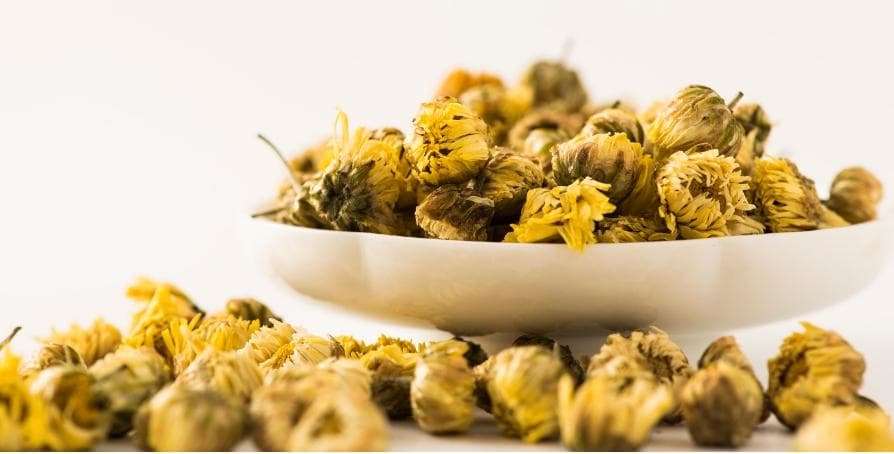 白菊花和黄胎菊的区别及其功效