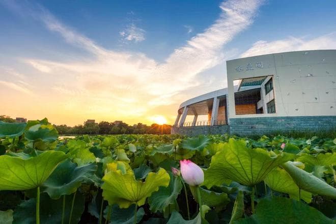 QS世界大学最新排名：上海交大反超浙大，西北工大不敌深圳大学？