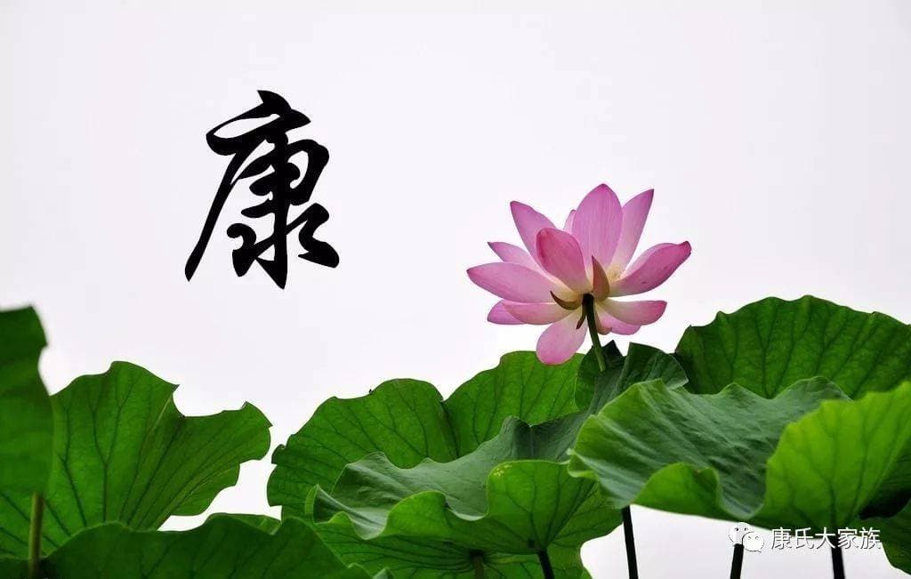 康姓人的迁徙演化过程