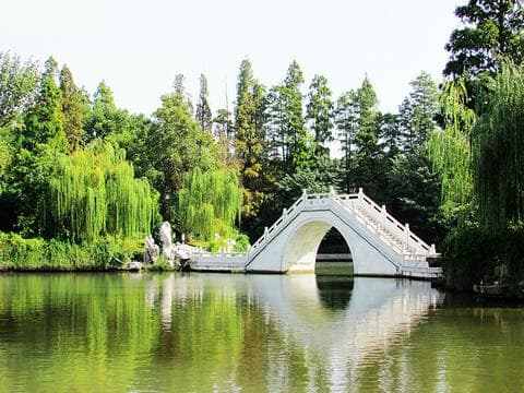 南京白鹭洲公园游玩全攻略：景点、门票、交通及必看亮点 🌸