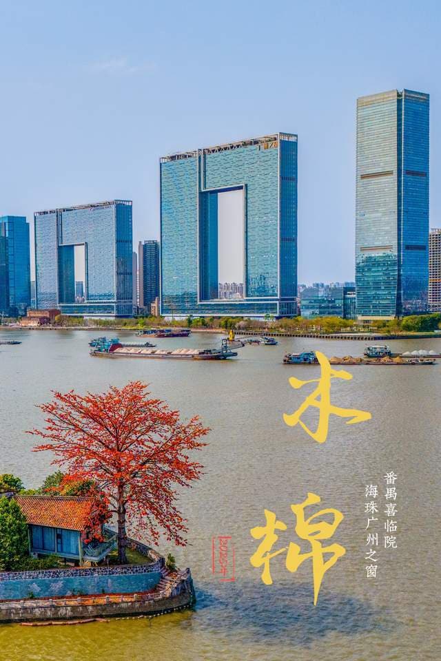 广州木棉花最佳拍摄机位找到了，无敌江景同框，成为网红打卡点