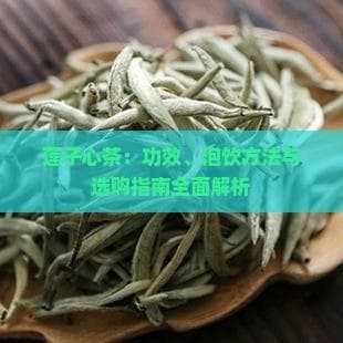 莲子心茶：功效、泡饮方法与选购指南全面解析