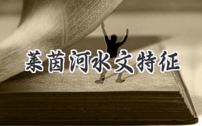 莱茵河：欧洲重要水运通道，孕育六国文明