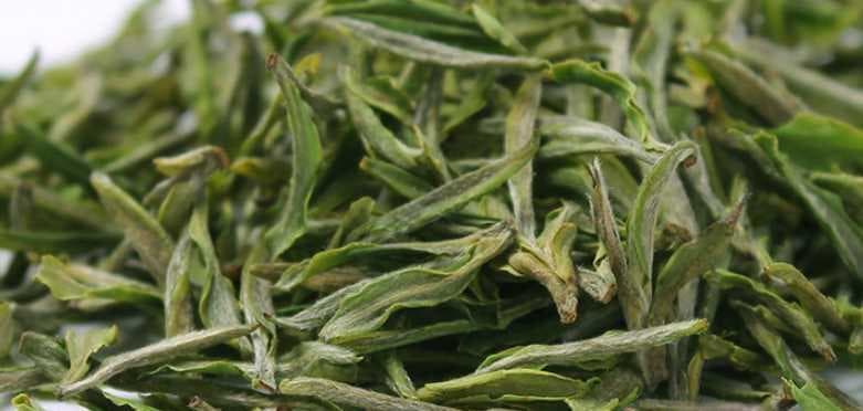 红茶和绿茶的区别是什么？如何区分它们的特性？