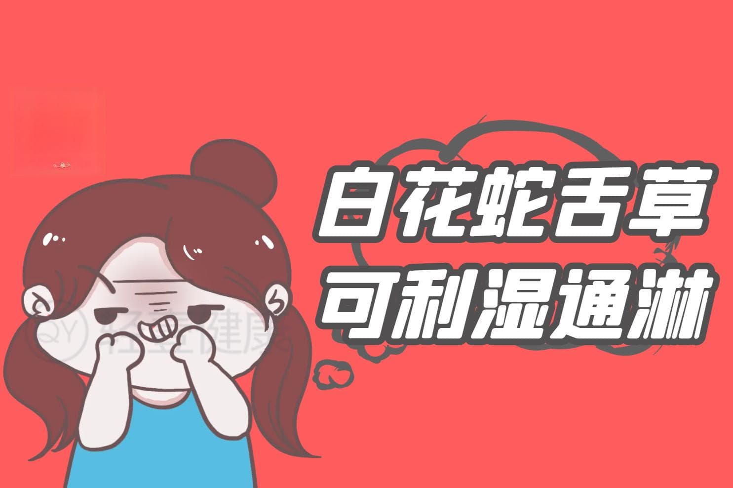白花蛇舌草的功效与作用及禁忌