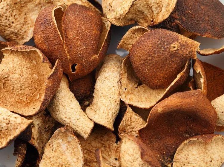 广东陈皮茶怎么泡？详细指南