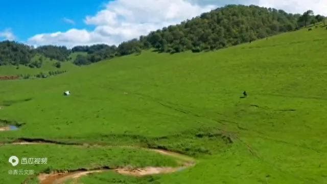 仙女山旅游景点全攻略：最佳游玩景点推荐