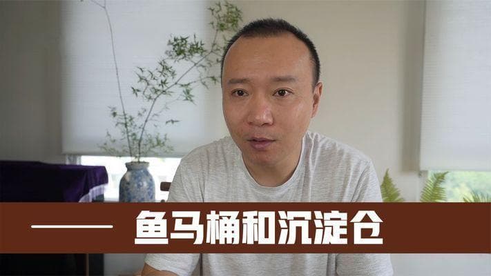龙鱼缸沉淀仓和鱼马桶的选择（沉淀仓和鱼马桶怎么选）