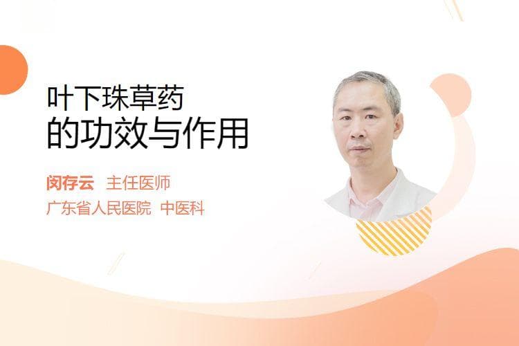 叶下珠功效全解析：从清热解毒到保肝明目