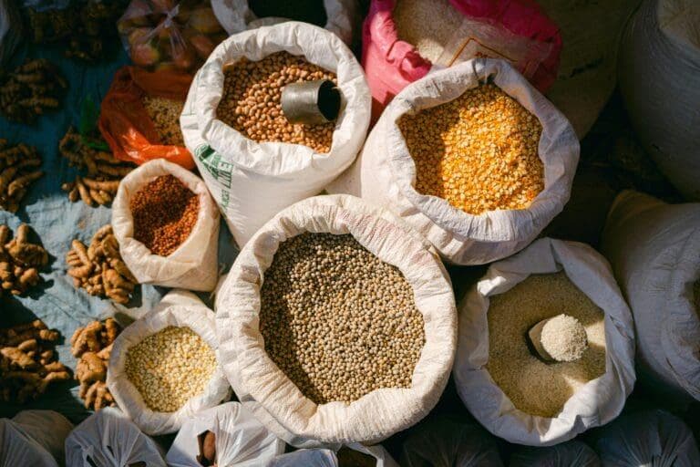 世界粮食日：粮食体系为何对我们的未来至关重要