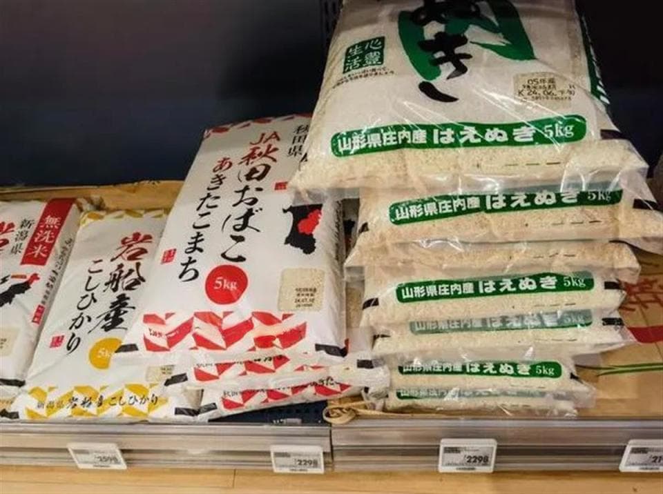 日本多地为何闹“大米荒”？东京华侨：虽有新米陆续上市，但一斤涨到了14.7元