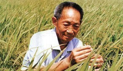 袁隆平的驾照比普通人多了9个字，只因终身免检，全国仅此一张
