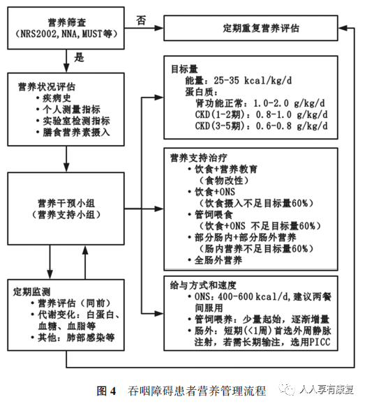 【重症康复系列课程】第二十八课：吞咽障碍膳食营养管理中国专家共识(2019版)