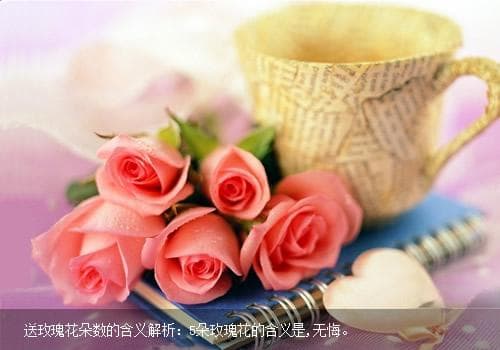 送玫瑰花朵数的含义解析