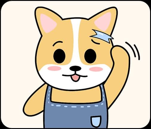 狗狗牙齿松动怎么办？这几招帮你轻松应对