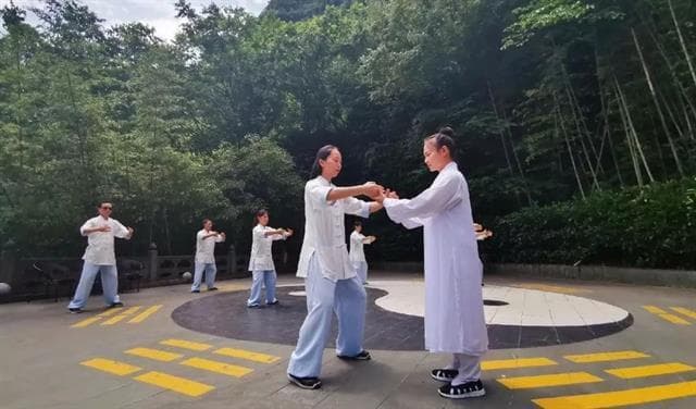 武当太极拳九式（附：拳谱）