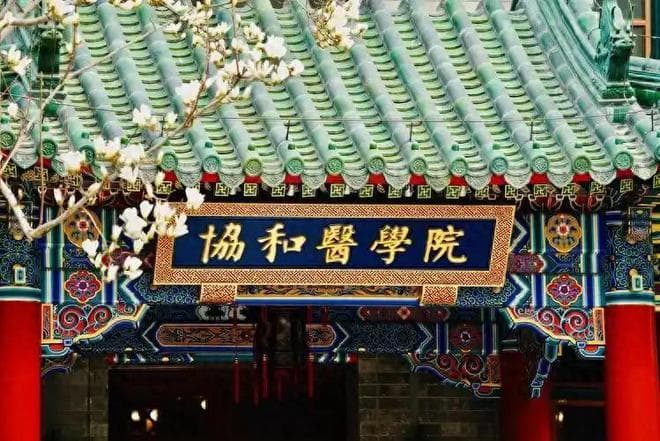 全国的医科大学，大概分为6个档次，你的大学排名第几？