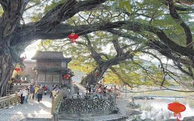 外国友人镜头里的中国“最佳旅游乡村”