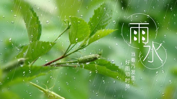 二十四节气｜雨水三候：春风化雨，生发万物