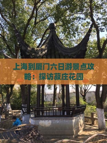 上海到厦门六日游攻略：从都市繁华到海上花园