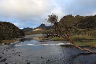 探索广州的灵魂绿肺，白云山风景区的自然与人文之旅