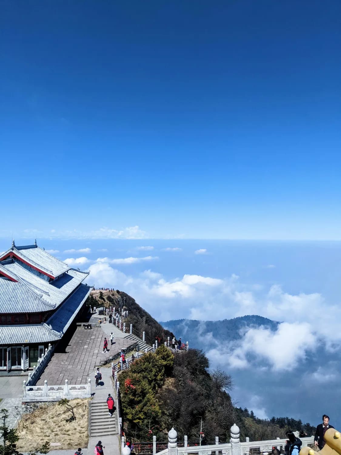 慈溪旅游打卡：冬日必玩新地标！