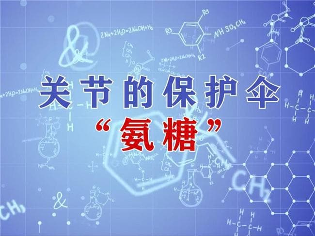 氨糖助力关节健康：从软骨修复到润滑抗炎