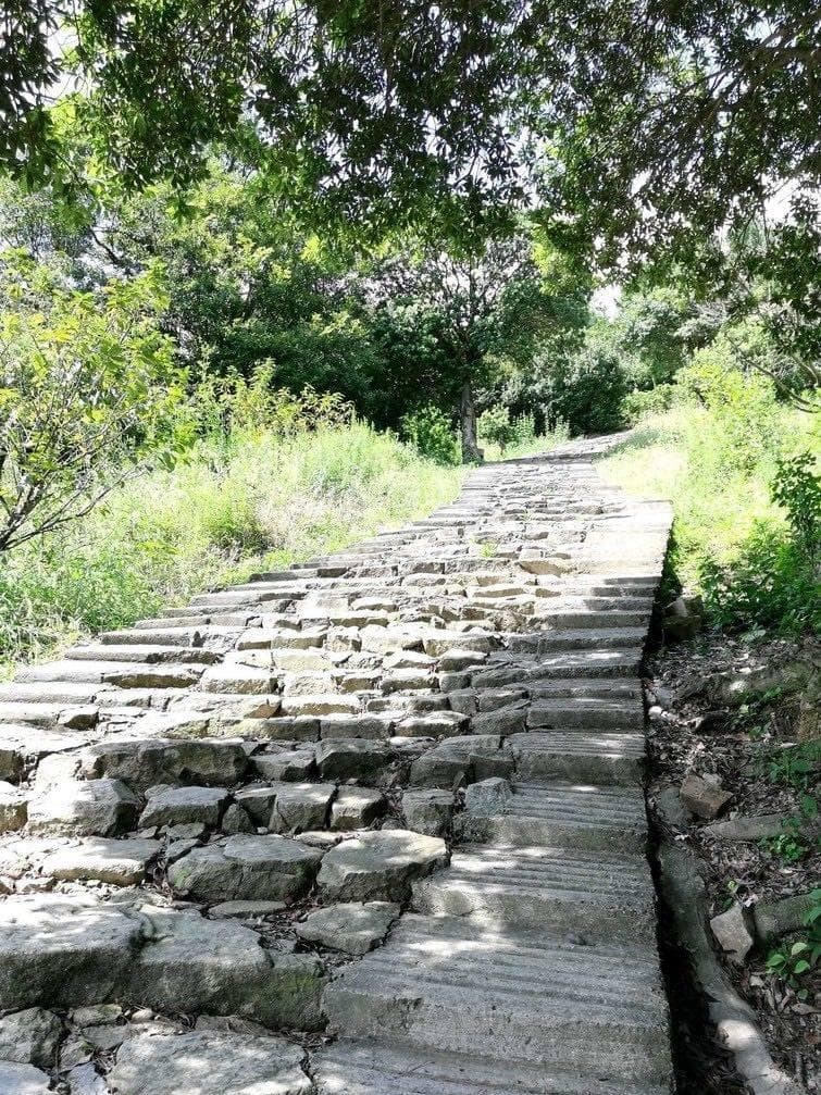 宁波冬日登山指南：探寻六大古道的自然与历史之美