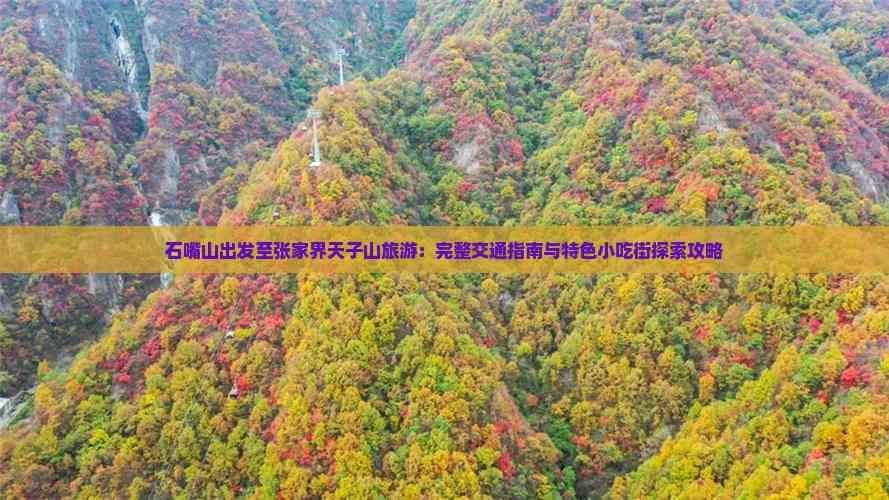 石嘴山出发至张家界天子山旅游：完整交通指南与特色小吃街探索攻略
