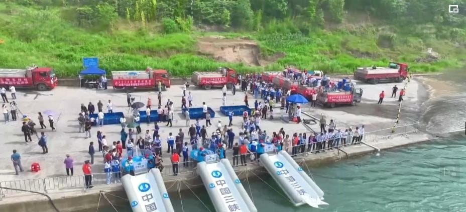 生物多样，成就生态之美！“万物共生”的美丽中国保护成果丰硕