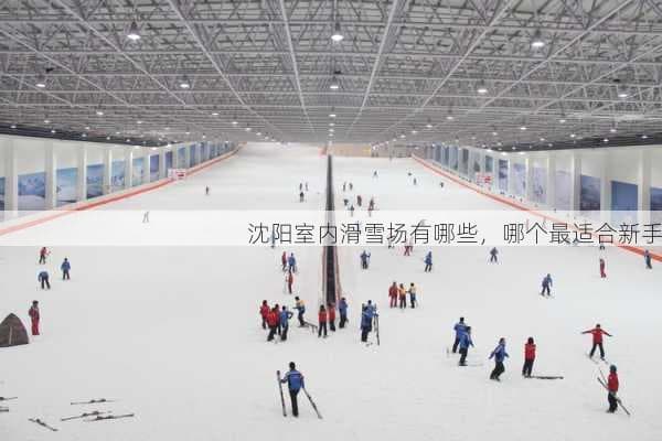 沈阳室内滑雪场哪家强？三大雪场对比与选择指南