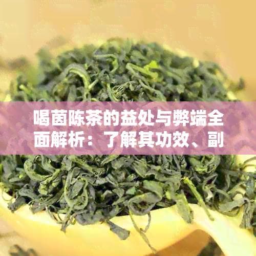 喝茵陈茶的好处与坏处：功效、副作用及适合人群