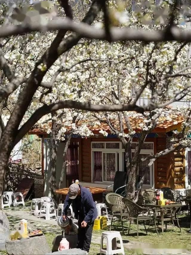 DeepSeek选出最适合春天的旅行地