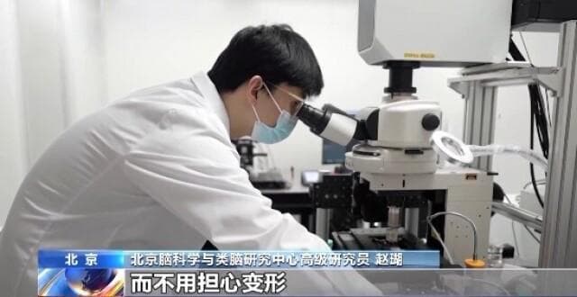 脑机接口！探秘脑科学的无限可能