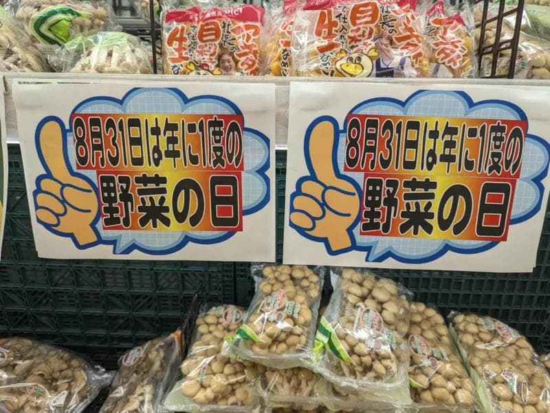 为记不住单词而烦恼？看看这些记忆日语单词的技巧