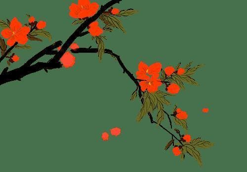 走进江南水乡南浔，探寻深厚历史文化