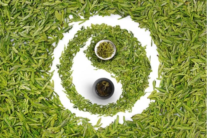 不同体质防病药茶 喝出自愈力