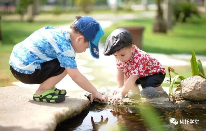 如何科学制定幼儿园带量菜谱食谱？开学必备