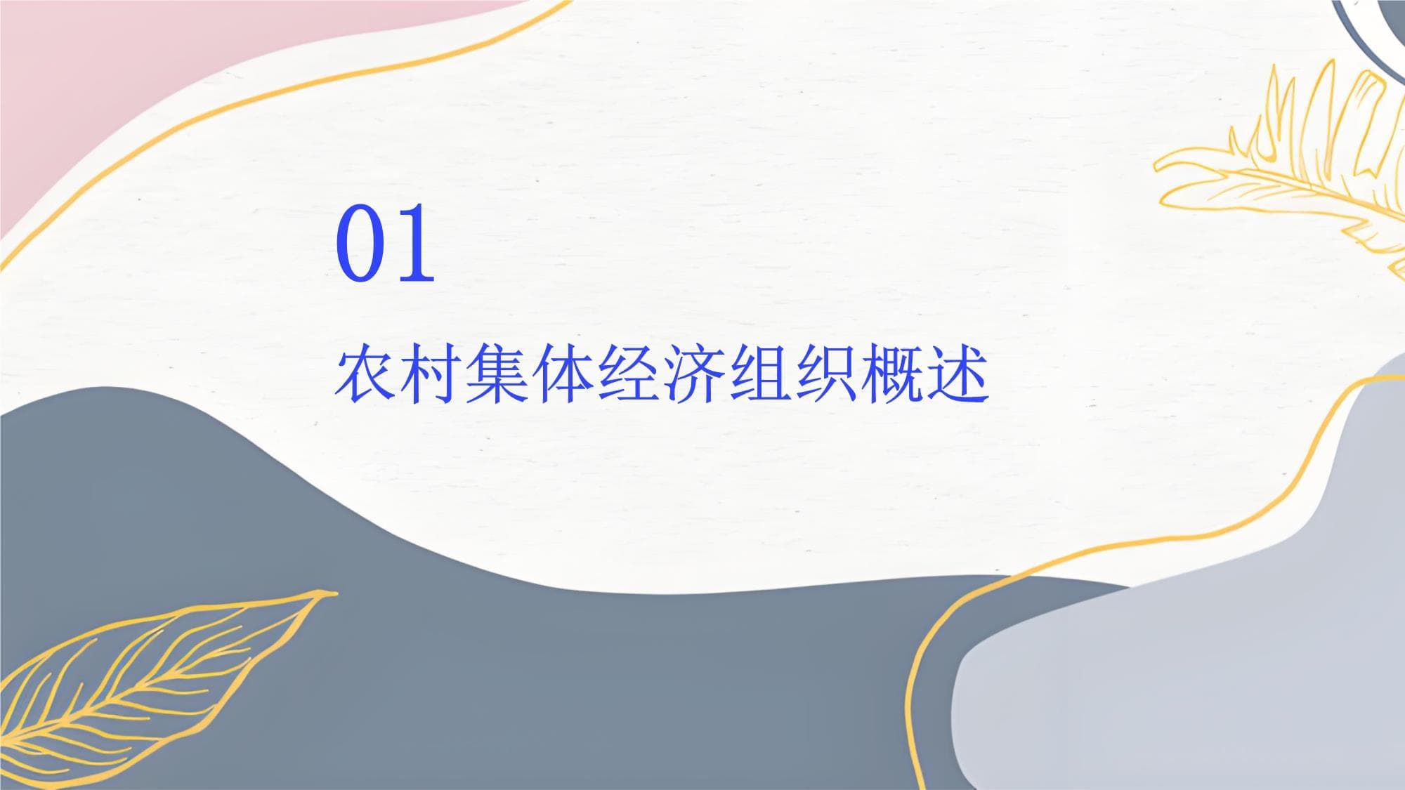 农村集体经济组织规范化管理与运作指南