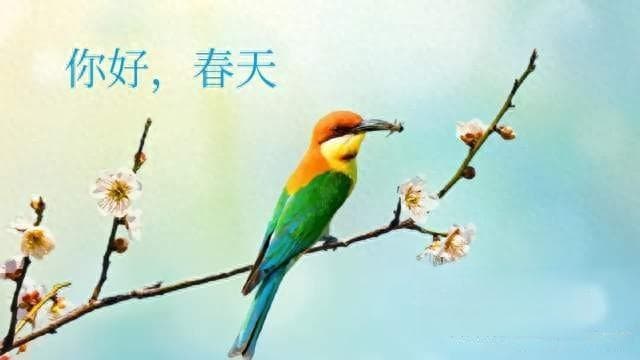 春天的文案：春风十里，不如有你