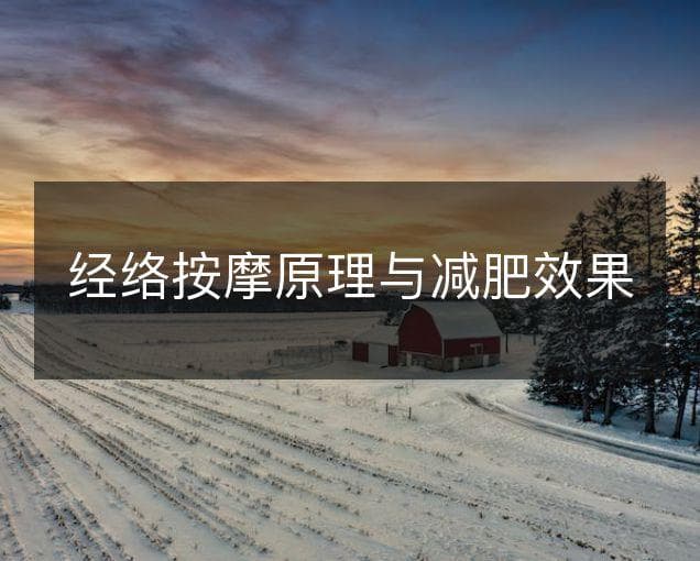 经络按摩原理与减肥效果