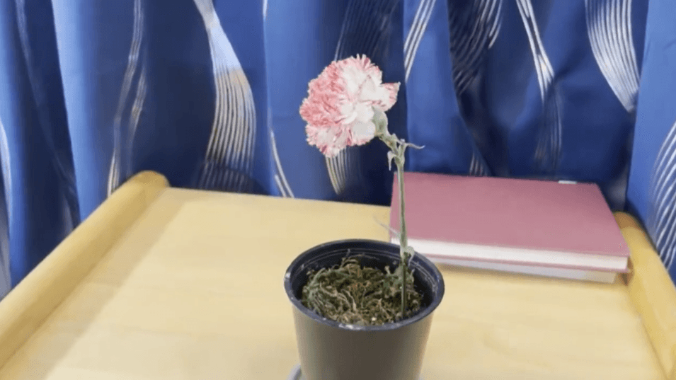 像Sora一样，用物理模拟方式生成视频