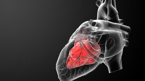心肌炎是怎么回事？症状、病因与治疗方法全解析