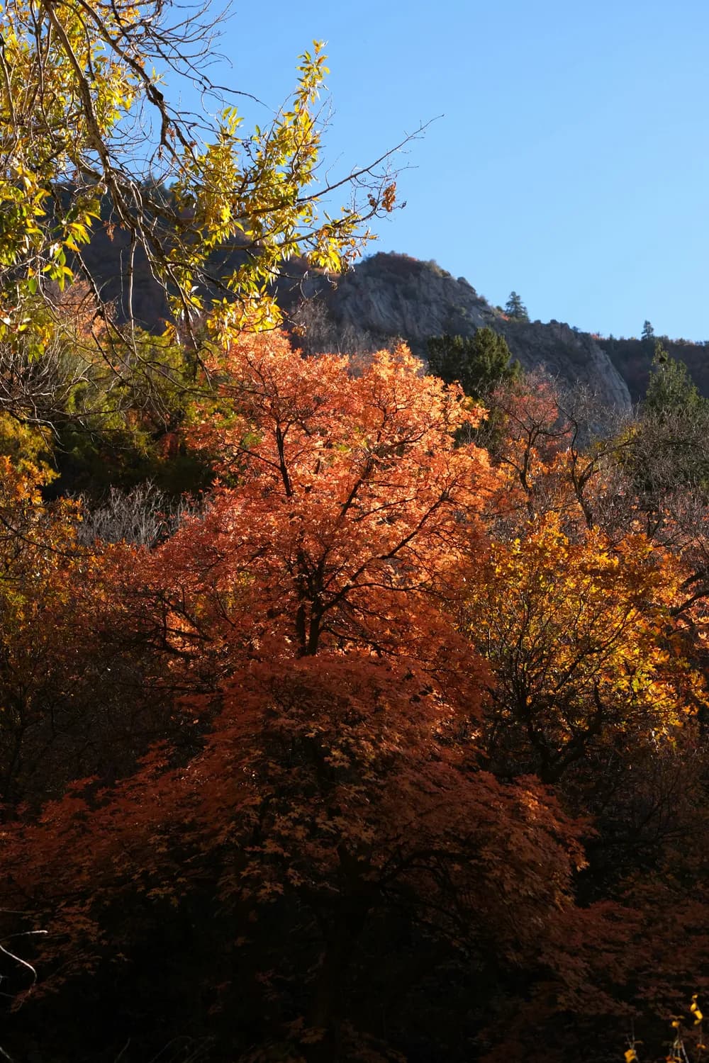秋冬自驾游温州：雁荡山、楠溪江、洞头全攻略
