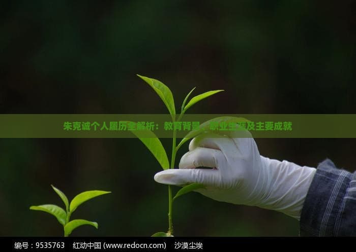 朱克诚个人履历全解析：教育背景、职业生涯及主要成就