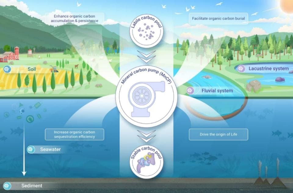 矿物碳泵：地球系统碳存储与氧循环的引擎
