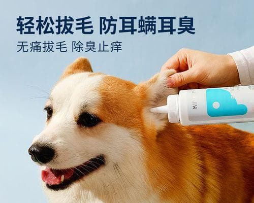 狗狗耳螨及其治疗方法（以宠物为主的耳螨治疗知识）