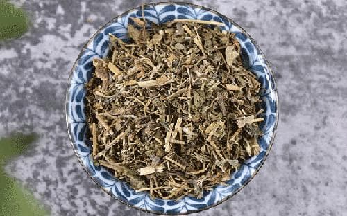 蛇莓的功效与作用 中药蛇莓配伍应用