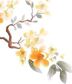 【科普】神奇的中药之——合欢皮