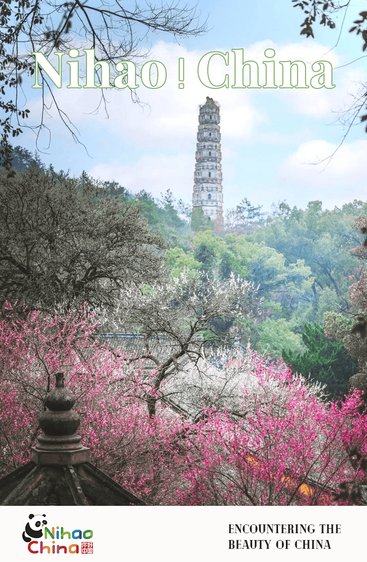 【双语】你好！中国 | 步入国清寺，感受穿越千年的纯粹